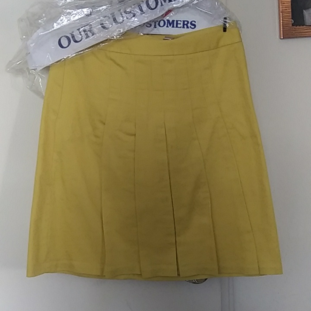 Banana republic skirt